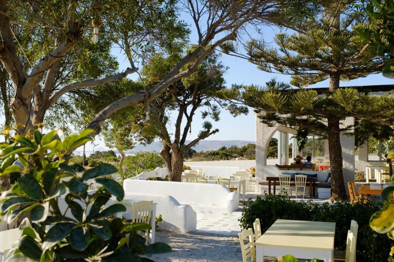 Villa Faros Small Hotel & Restaurant Aliko Beach Eksteriør billede