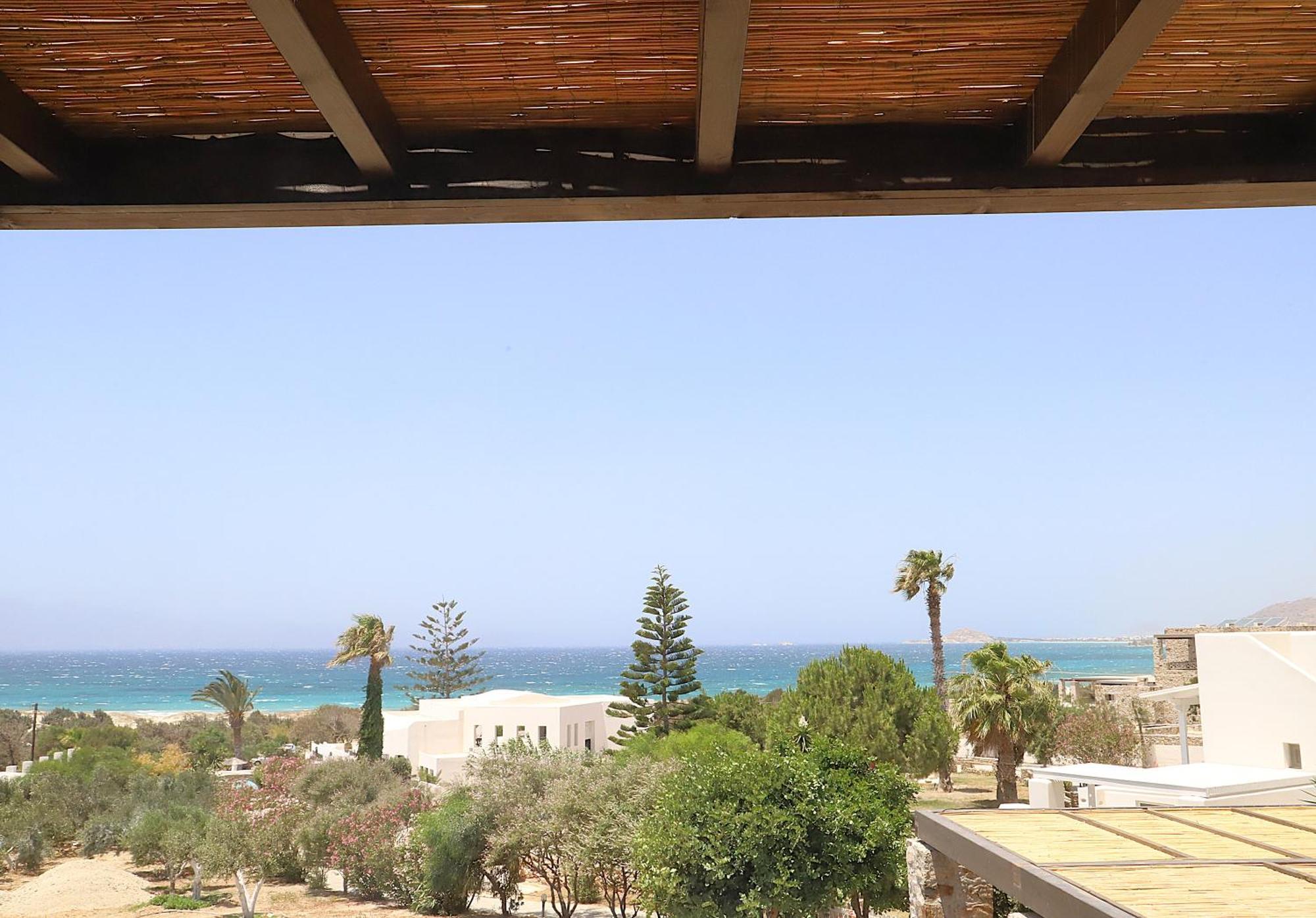 Villa Faros Small Hotel & Restaurant Aliko Beach Eksteriør billede