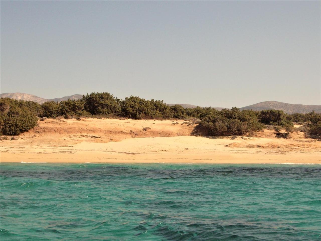 Villa Faros Small Hotel & Restaurant Aliko Beach Eksteriør billede